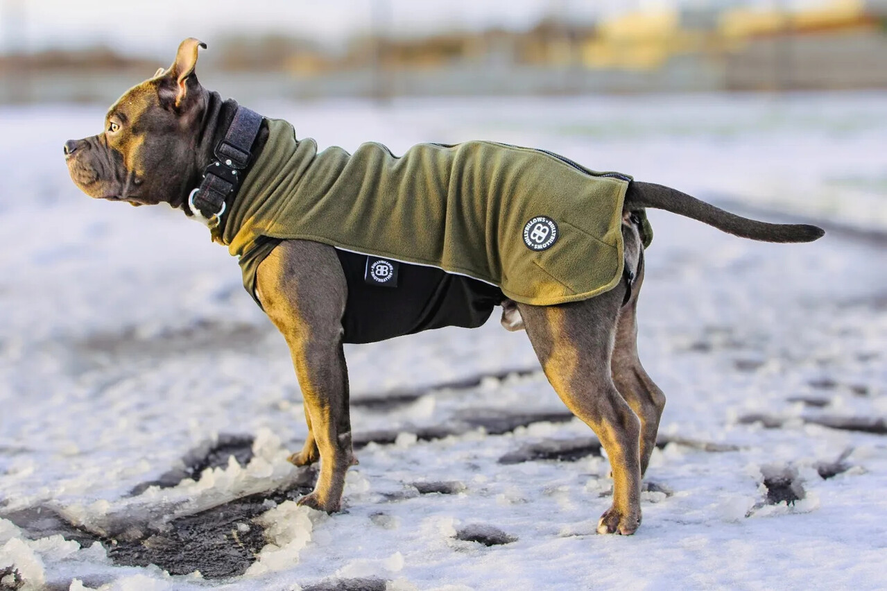 BullyBillows Bullybillows Honden Fleece trui met rits