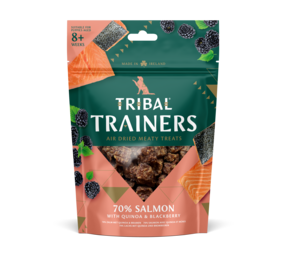 Tribal Tribal Trainers Zalm & Braambes