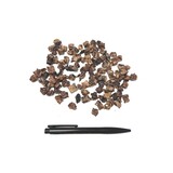 Paardenlong Mini Trainer Paardenlong Mini Trainer