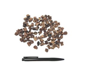 Paardenlong Mini Trainer