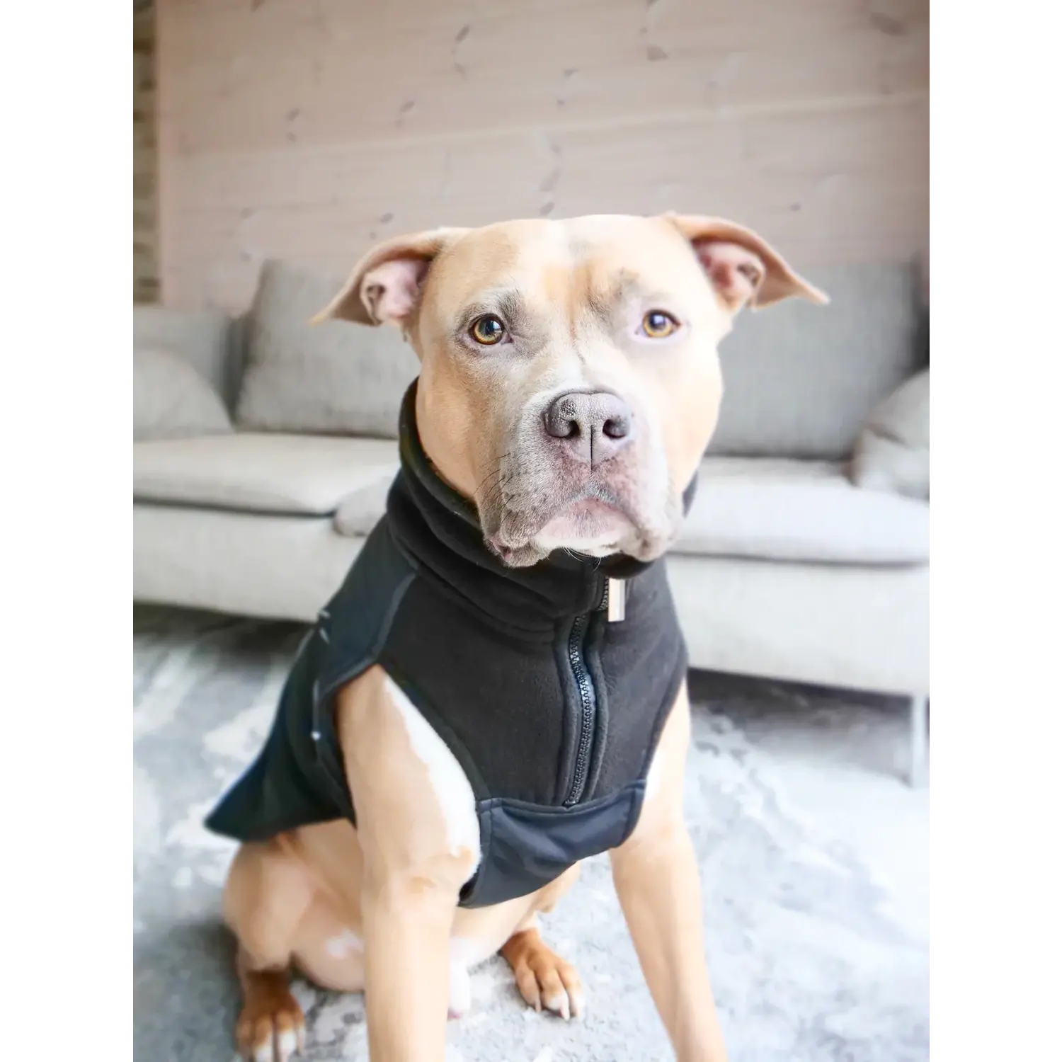 Bullybillows Hondenjas met rits - The Dog Lounge