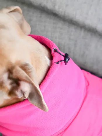 BullyBillows Bullybillows Hondenjas met rits BullyBillows Bullybillows Hondenjas met rits