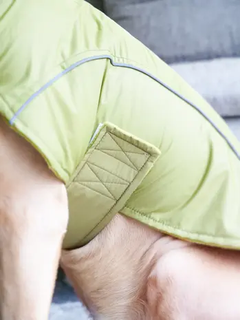 BullyBillows Bullybillows Hondenjas met rits BullyBillows Bullybillows Hondenjas met rits