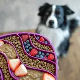 Westpaw West Paw Seaflex Feast Mat Westpaw West Paw Seaflex Feast Mat