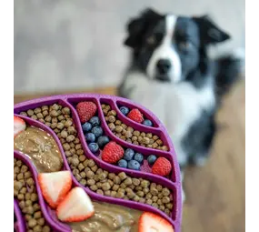 Westpaw West Paw Seaflex Feast Mat Westpaw West Paw Seaflex Feast Mat