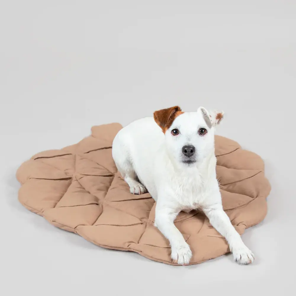 Paikka Paikka Playmat for Dogs - Pinecone Paikka Paikka Playmat for Dogs - Pinecone