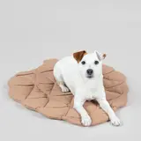 Paikka Paikka Playmat for Dogs - Pinecone