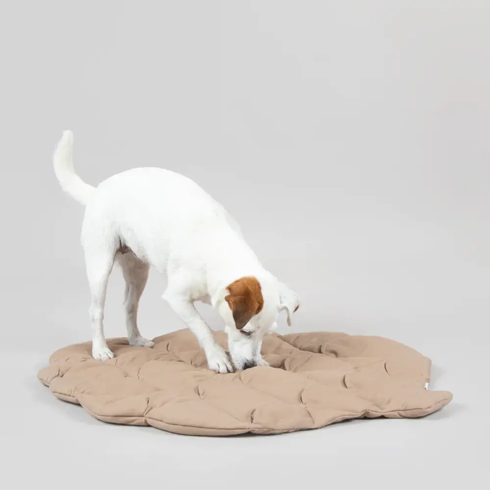 Paikka Paikka Playmat for Dogs - Pinecone Paikka Paikka Playmat for Dogs - Pinecone