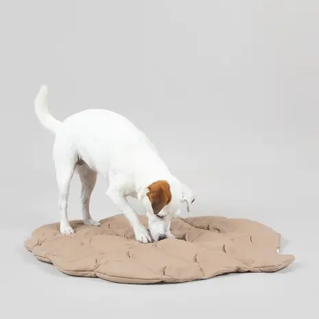 Paikka Paikka Playmat for Dogs - Pinecone Paikka Paikka Playmat for Dogs - Pinecone