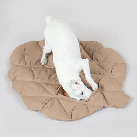 Paikka Paikka Playmat for Dogs - Pinecone Paikka Paikka Playmat for Dogs - Pinecone