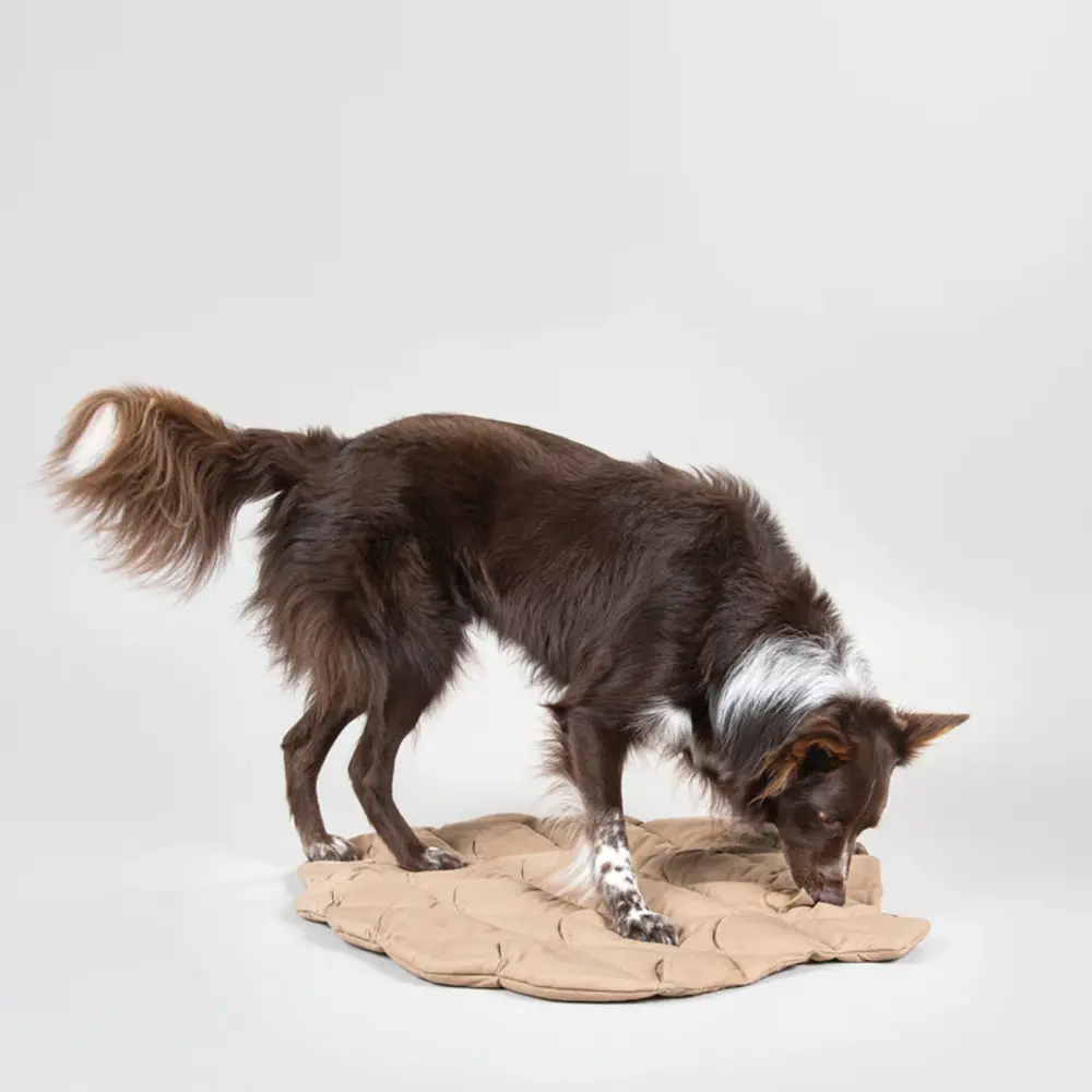 Paikka Paikka Playmat for Dogs - Pinecone Paikka Paikka Playmat for Dogs - Pinecone