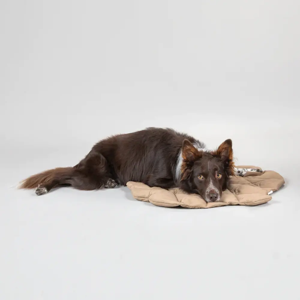Paikka Paikka Playmat for Dogs - Pinecone Paikka Paikka Playmat for Dogs - Pinecone