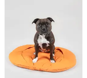 Paikka Paikka Playmat for Dogs - Pumpkin Paikka Paikka Playmat for Dogs - Pumpkin