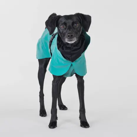 Paikka Paikka Visibility Raincoat Emerald Hondenjas Paikka Paikka Visibility Raincoat Emerald Hondenjas