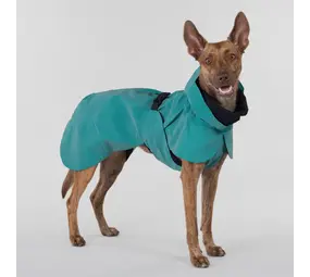 Paikka Paikka Visibility Raincoat Emerald Hondenjas Paikka Paikka Visibility Raincoat Emerald Hondenjas