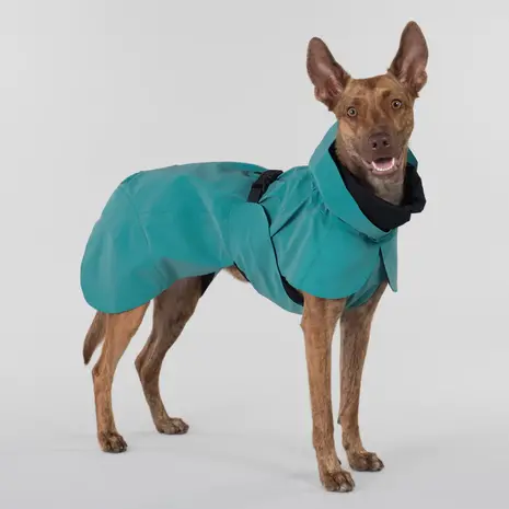 Paikka Paikka Visibility Raincoat Emerald Hondenjas Paikka Paikka Visibility Raincoat Emerald Hondenjas
