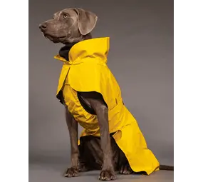 Paikka Paikka Visibility Raincoat Lite Yellow Hondenjas