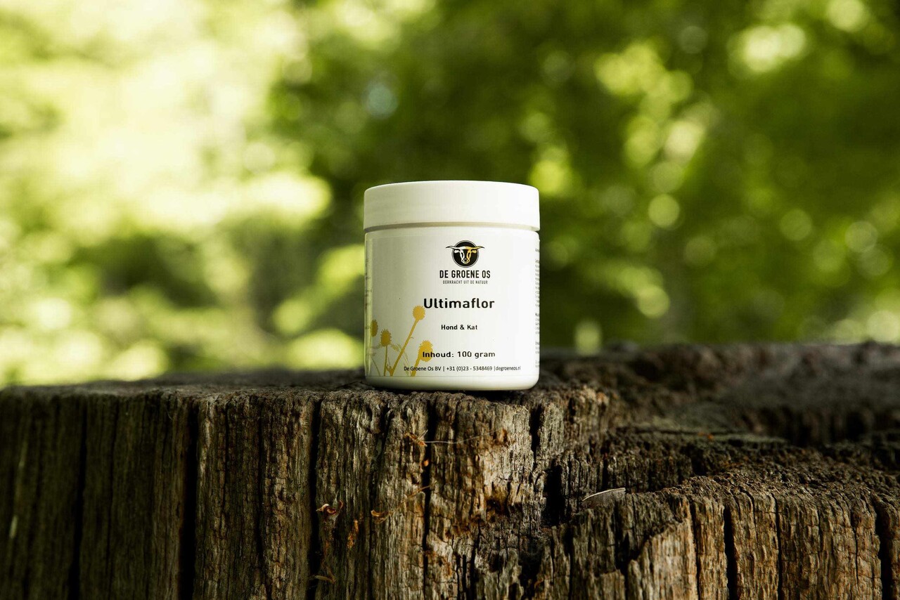 De Groene Os De Groene Os Ultimaflor De Groene Os De Groene Os Ultimaflor