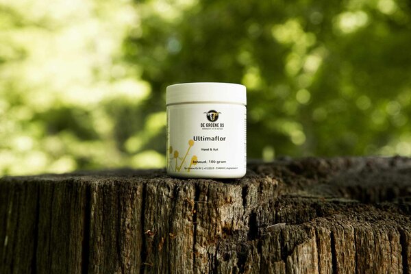 De Groene Os De Groene Os Ultimaflor De Groene Os De Groene Os Ultimaflor