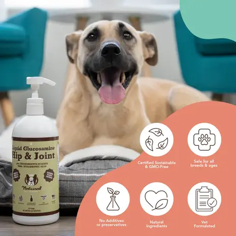 Natural Dog Company Natural Dog Company Hip & Joint Oil Natural Dog Company Natural Dog Company Hip & Joint Oil