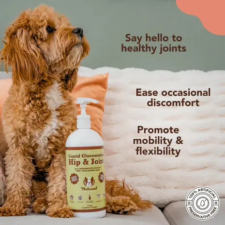 Natural Dog Company Natural Dog Company Hip & Joint Oil Natural Dog Company Natural Dog Company Hip & Joint Oil