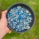 Hokuo Hokuō® Kip met Blauwe Spirulina T.H.T. KORTING