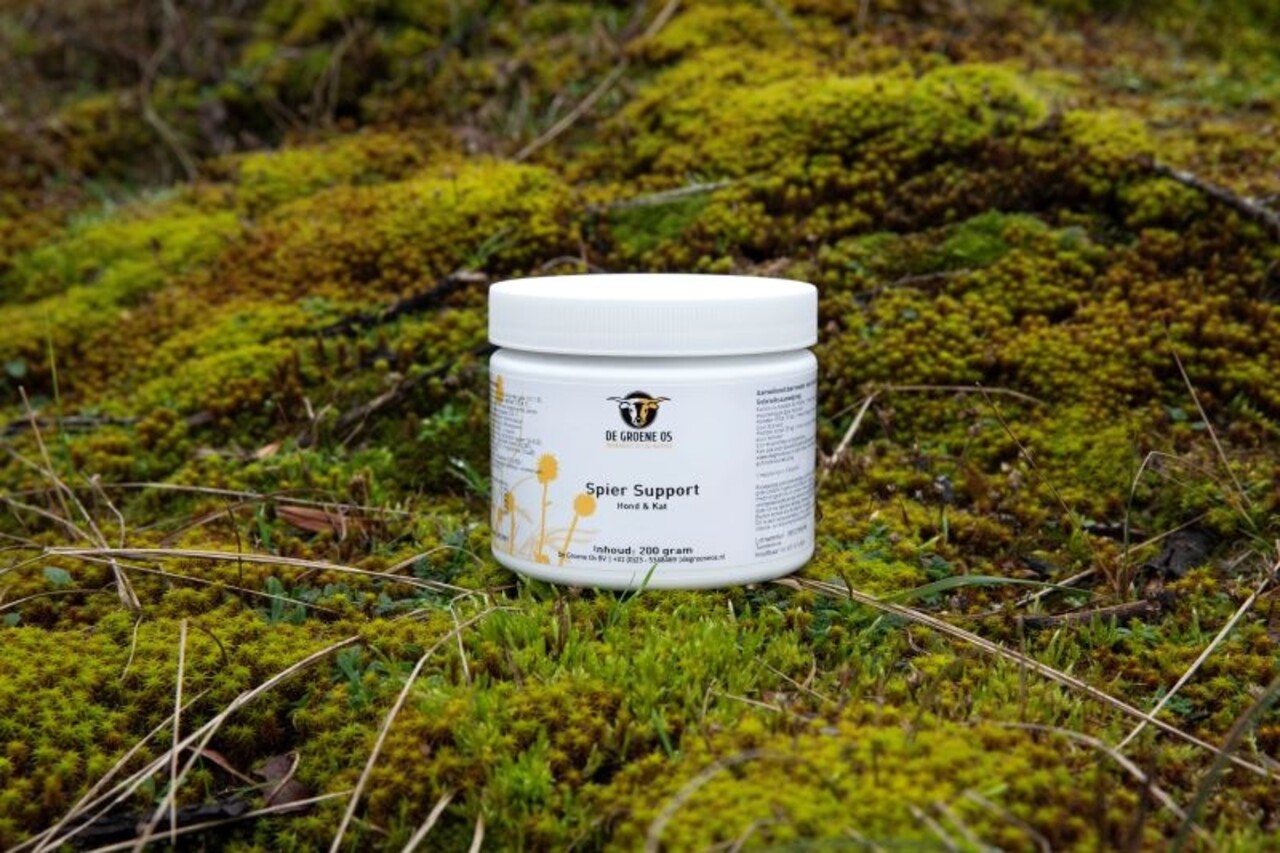 De Groene Os De Groene Os Spier Support De Groene Os De Groene Os Spier Support