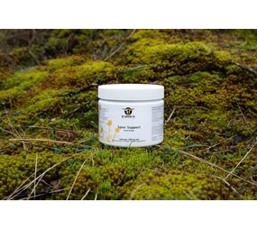 De Groene Os De Groene Os Spier Support