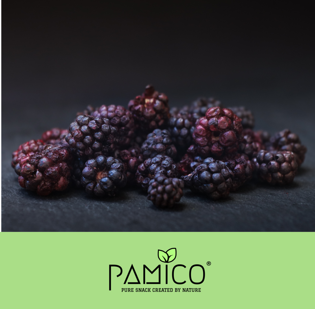 Pamico Pamico Goodies Gevriesdroogde Bramen