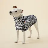 Paikka Paikka UV & Bug Shirt Repeltic