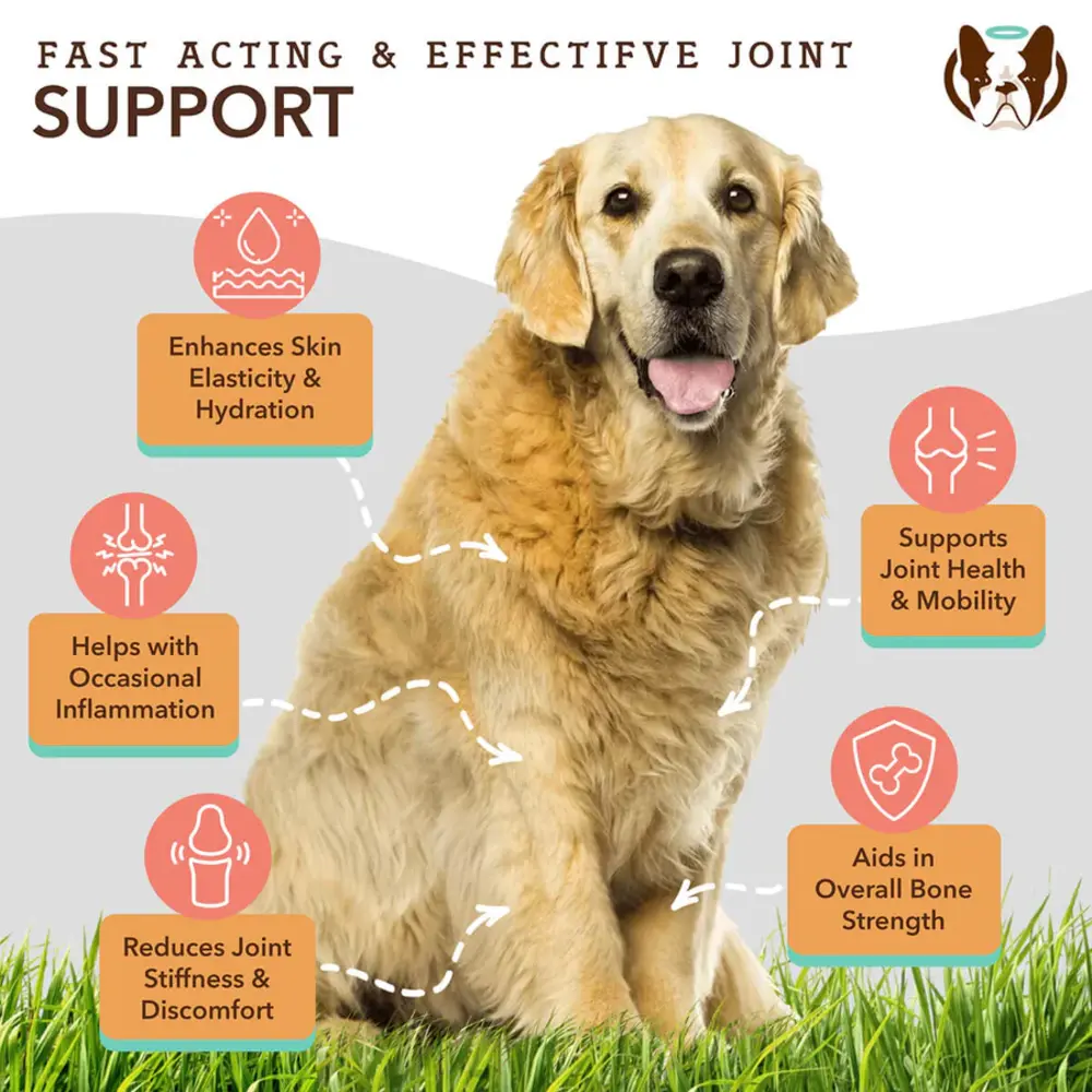 Natural Dog Company Natural Dog Company Collagen Supplement