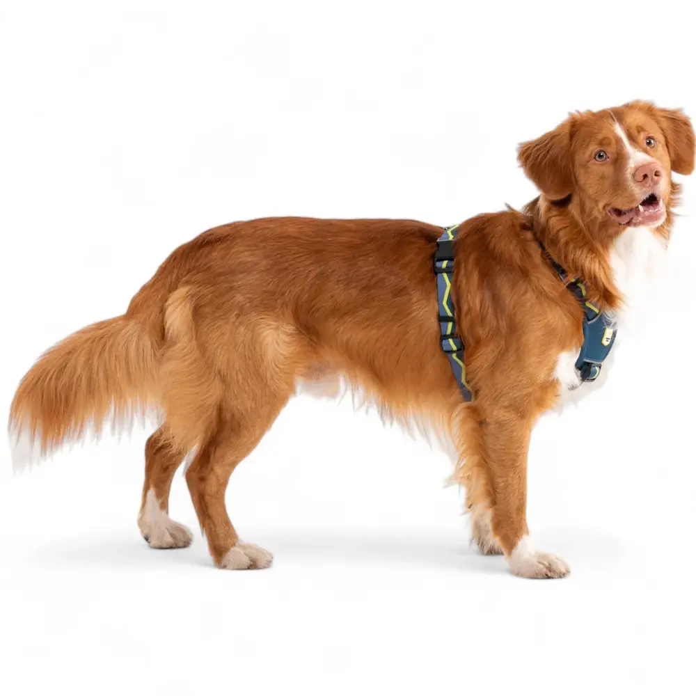 Woolly Wolf Woolly Wolf Horizon Hondentuig Woolly Wolf Woolly Wolf Horizon Hondentuig