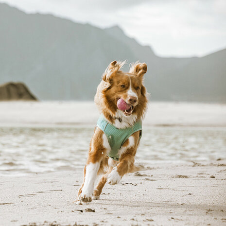 Hurtta Hurtta Cooling Wrap Hurtta Hurtta Cooling Wrap