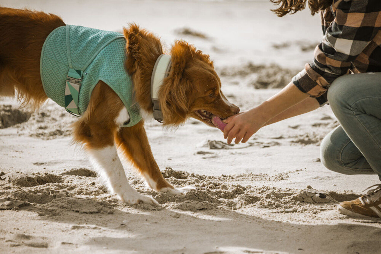 Hurtta Hurtta Cooling Wrap Hurtta Hurtta Cooling Wrap