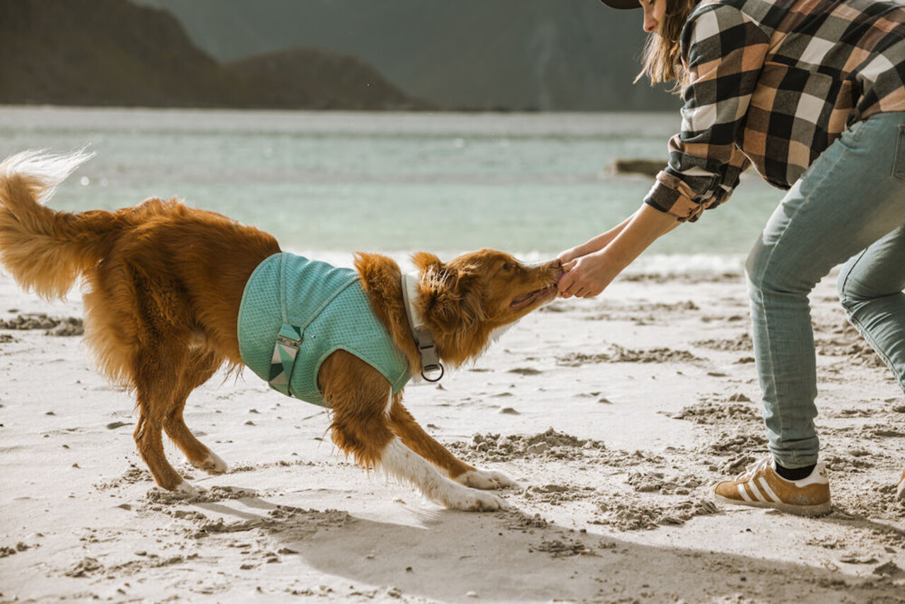 Hurtta Hurtta Cooling Wrap Hurtta Hurtta Cooling Wrap