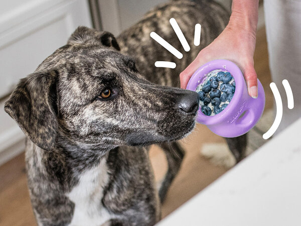 Westpaw Westpaw Toppl Lavendel Limited Edition Westpaw Westpaw Toppl Lavendel Limited Edition