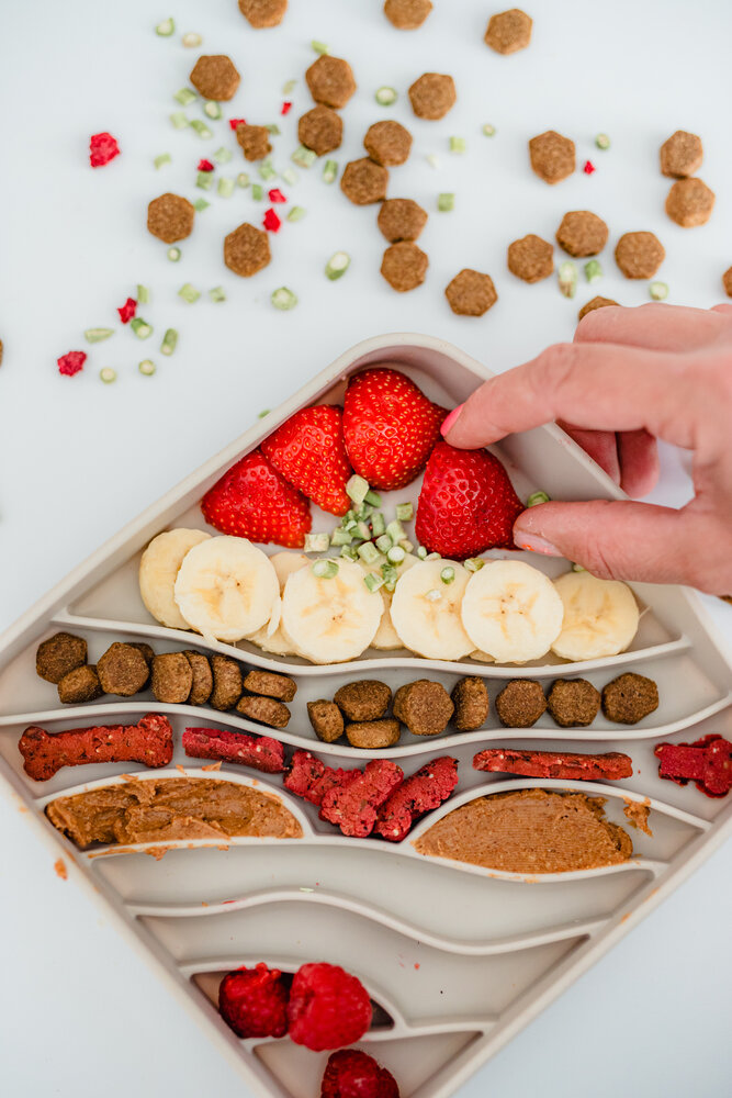 Beach Bowl Beach Bowl