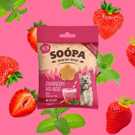 Soopa Soopa Bites - Strawberry Dog-Quiri Soopa Soopa Bites - Strawberry Dog-Quiri