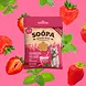 Soopa Soopa Bites - Strawberry Dog-Quiri Soopa Soopa Bites - Strawberry Dog-Quiri