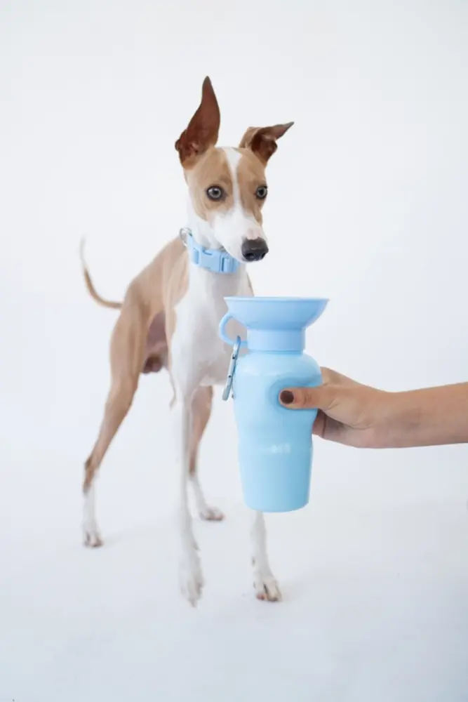 Springland Pets Springland Pets Drinkfles Classic 650ml Springland Pets Springland Pets Drinkfles Classic 650ml