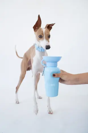 Springland Pets Springland Pets Drinkfles Classic 650ml Springland Pets Springland Pets Drinkfles Classic 650ml