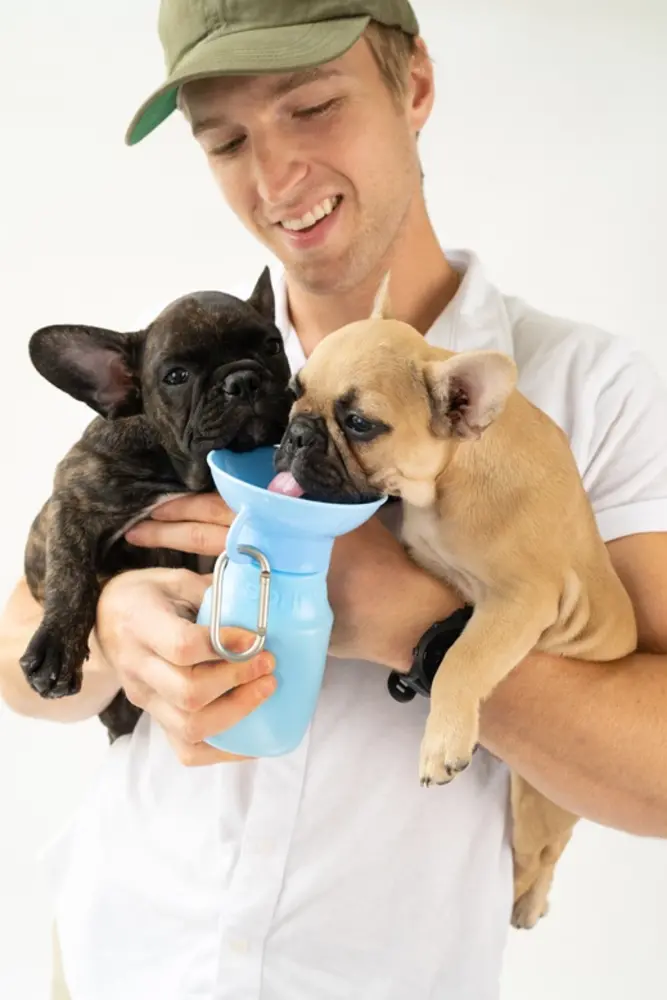 Springland Pets Springland Pets Drinkfles Classic Mini 440ml