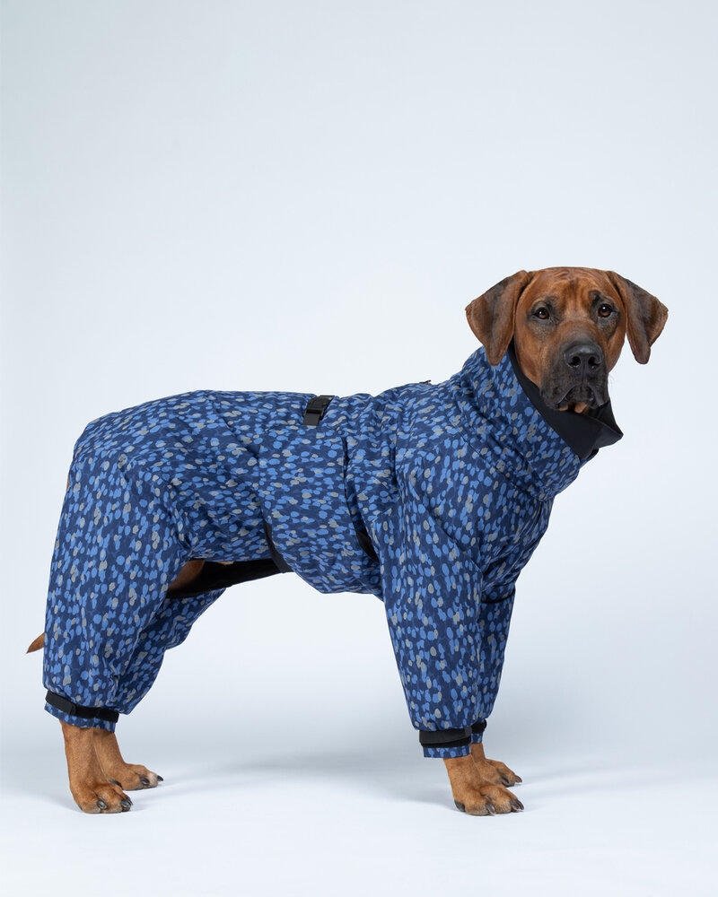 Paikka Paikka Winter Suit Blue Hondenjas Paikka Paikka Winter Suit Blue Hondenjas