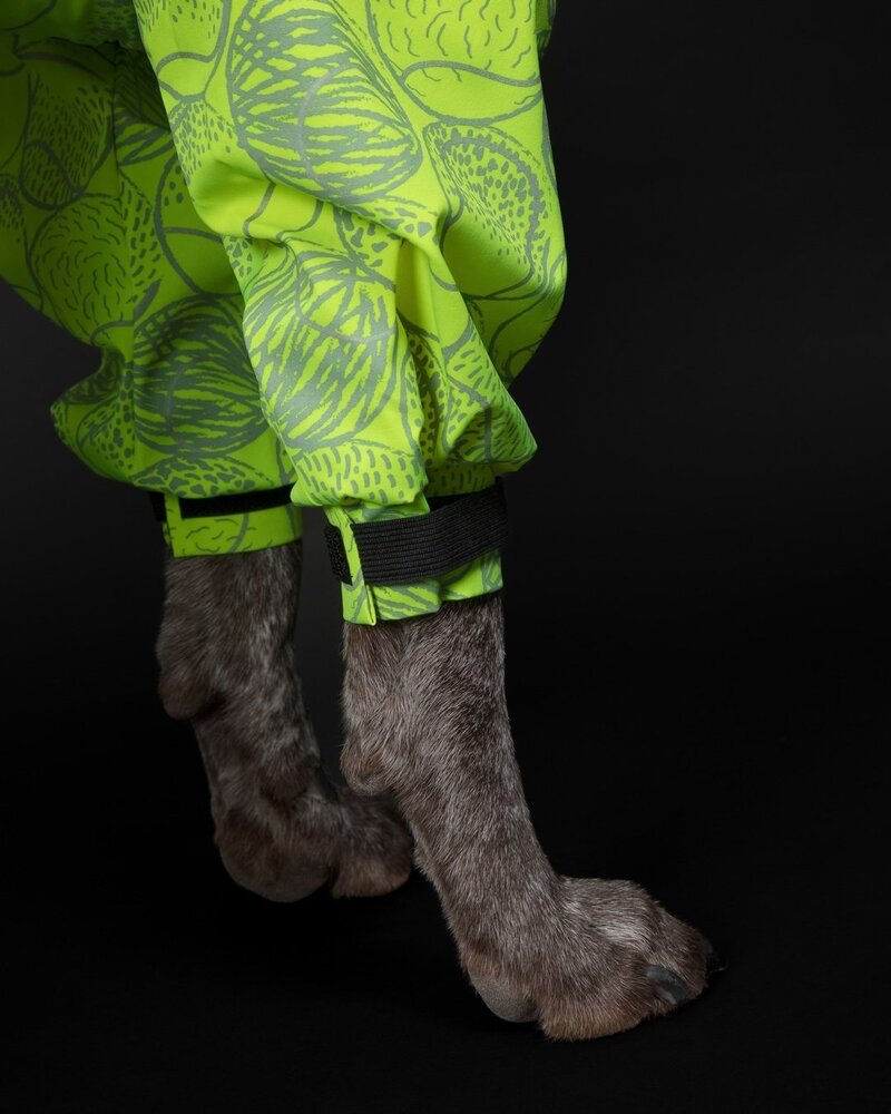 Paikka Paikka Rain Suit Neon Hondenjas