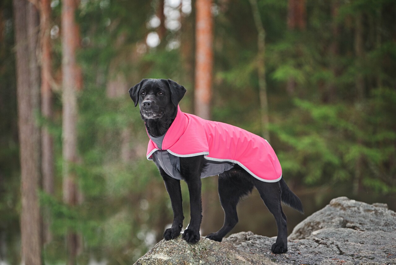 Pomppa SporttiPomppa Softshell Hondenjas Pomppa SporttiPomppa Softshell Hondenjas