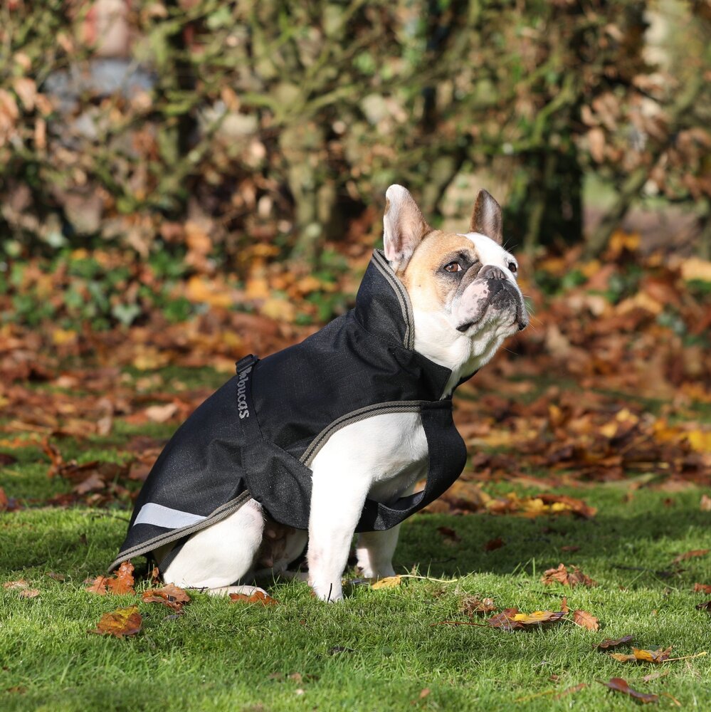 Bucas Bucas Hondenjas Black Taupe 50 gr Bucas Bucas Hondenjas Black Taupe 50 gr