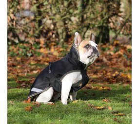 Bucas Bucas Hondenjas Black Taupe 300 gr Bucas Bucas Hondenjas Black Taupe 300 gr