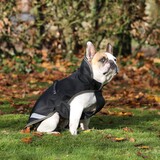 Bucas Bucas Hondenjas Black Taupe 150 gr Bucas Bucas Hondenjas Black Taupe 150 gr