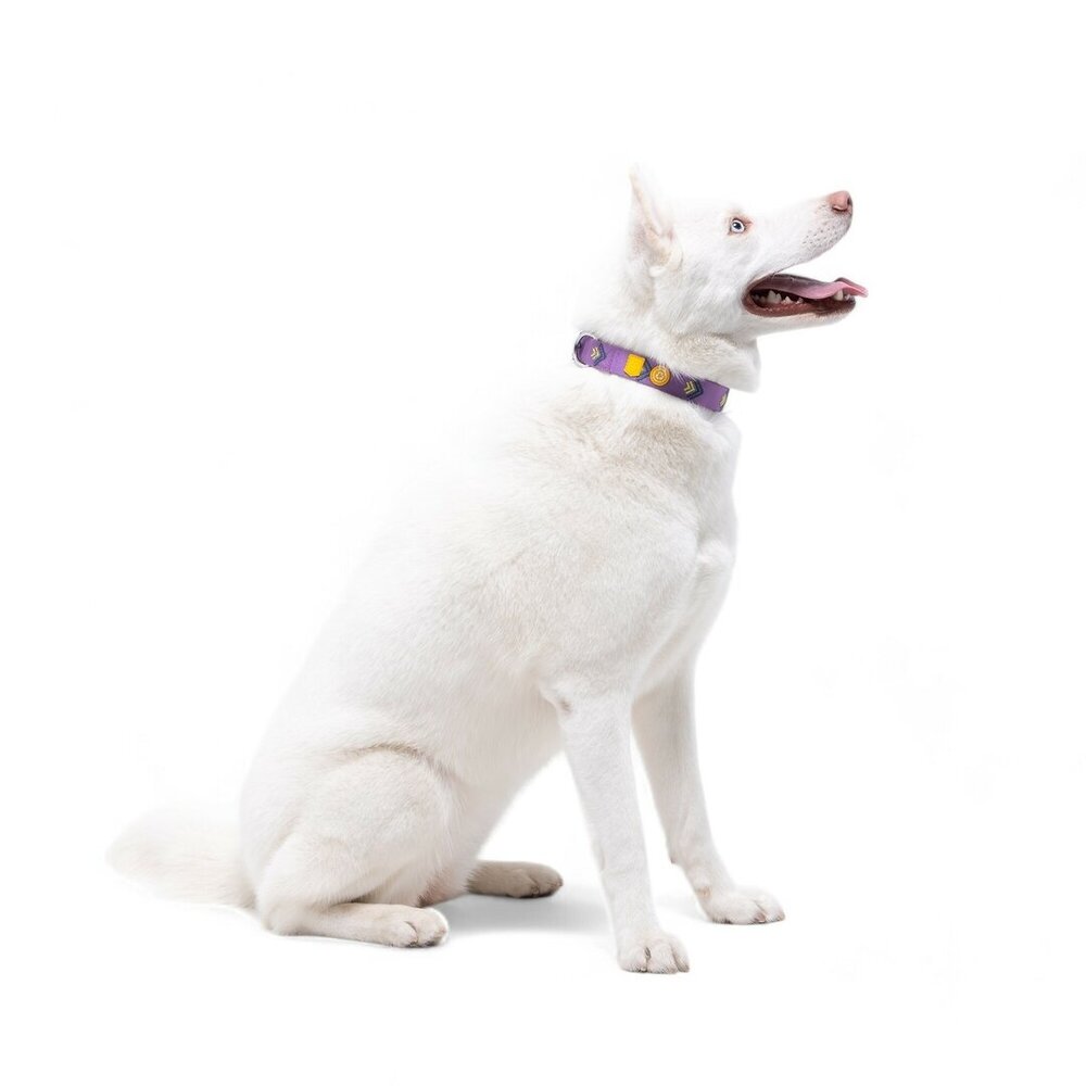 Woolly Wolf Woolly Wolf Northern Lights Halsband Woolly Wolf Woolly Wolf Northern Lights Halsband