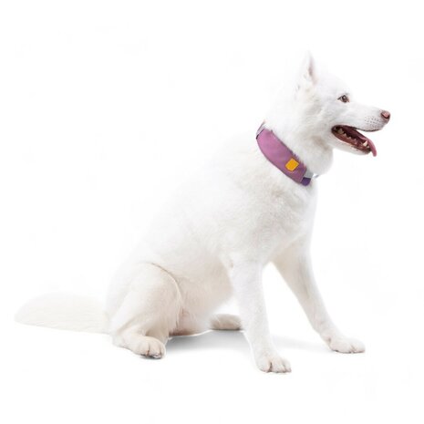 Woolly Wolf Woolly Wolf  Alpha 360 Halsband Mauve mix Woolly Wolf Woolly Wolf  Alpha 360 Halsband Mauve mix